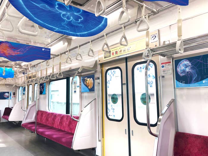 くらげとれいんの車内