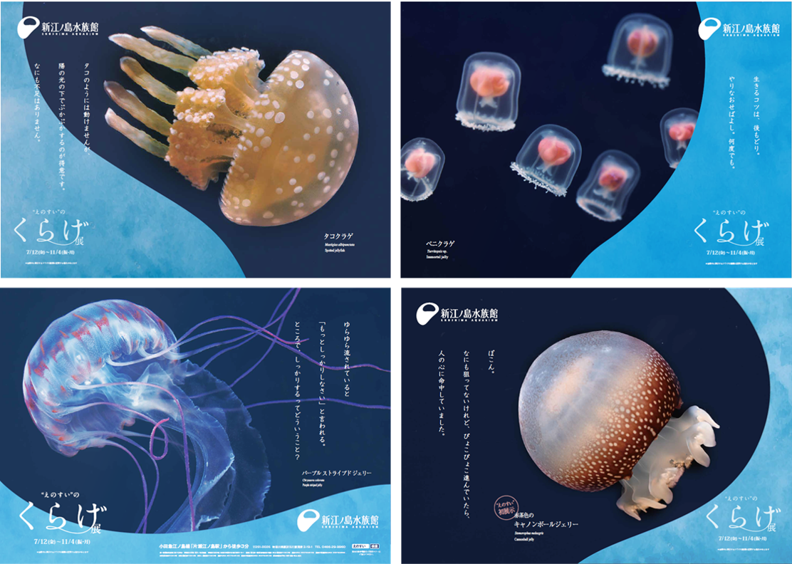 くらげとれいんのドア横ポスター
