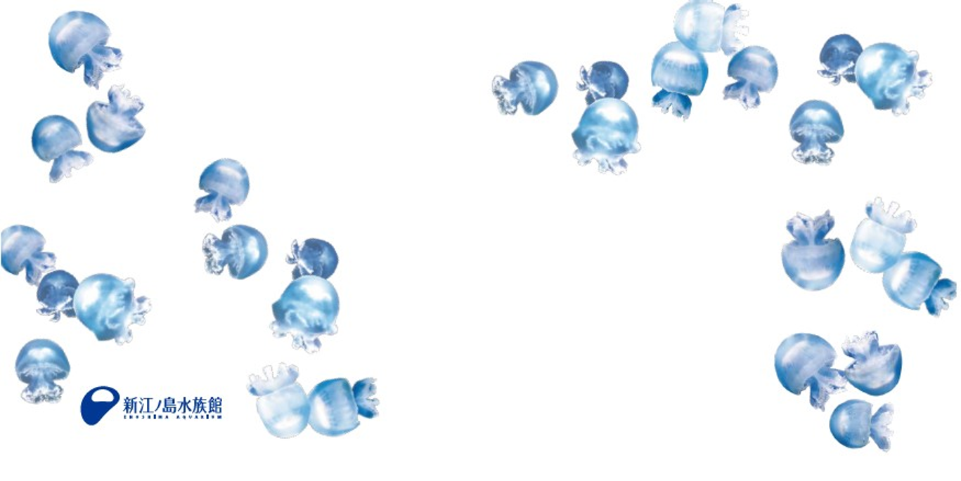 くらげとれいんのドアガラスステッカー