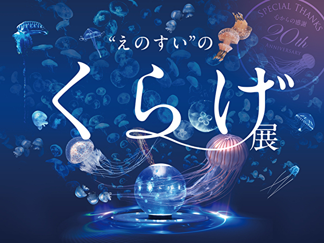 ”えのすい”のくらげ展