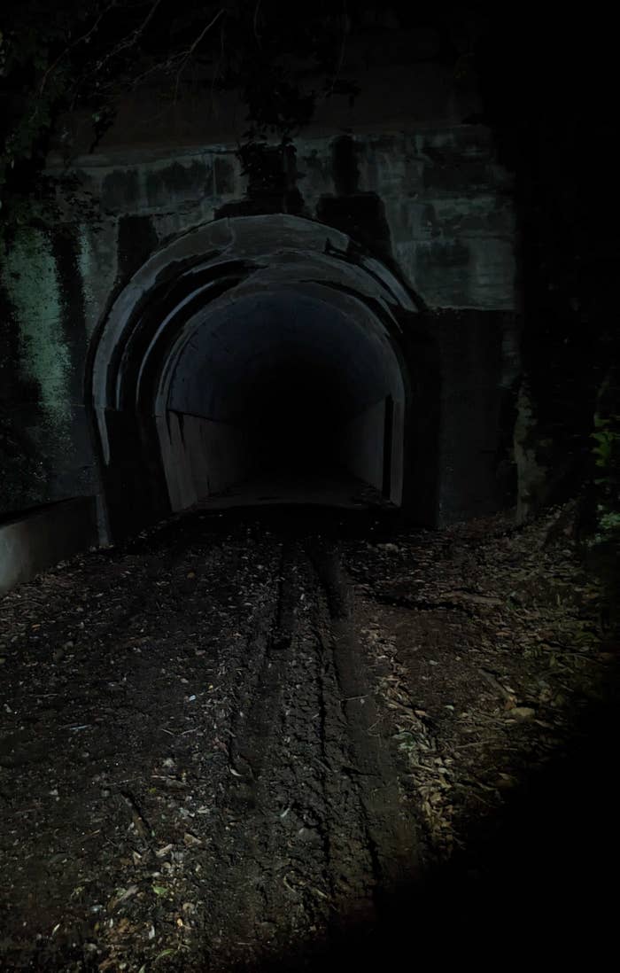 『行方不明展』の素材写真(プレスリリースより)