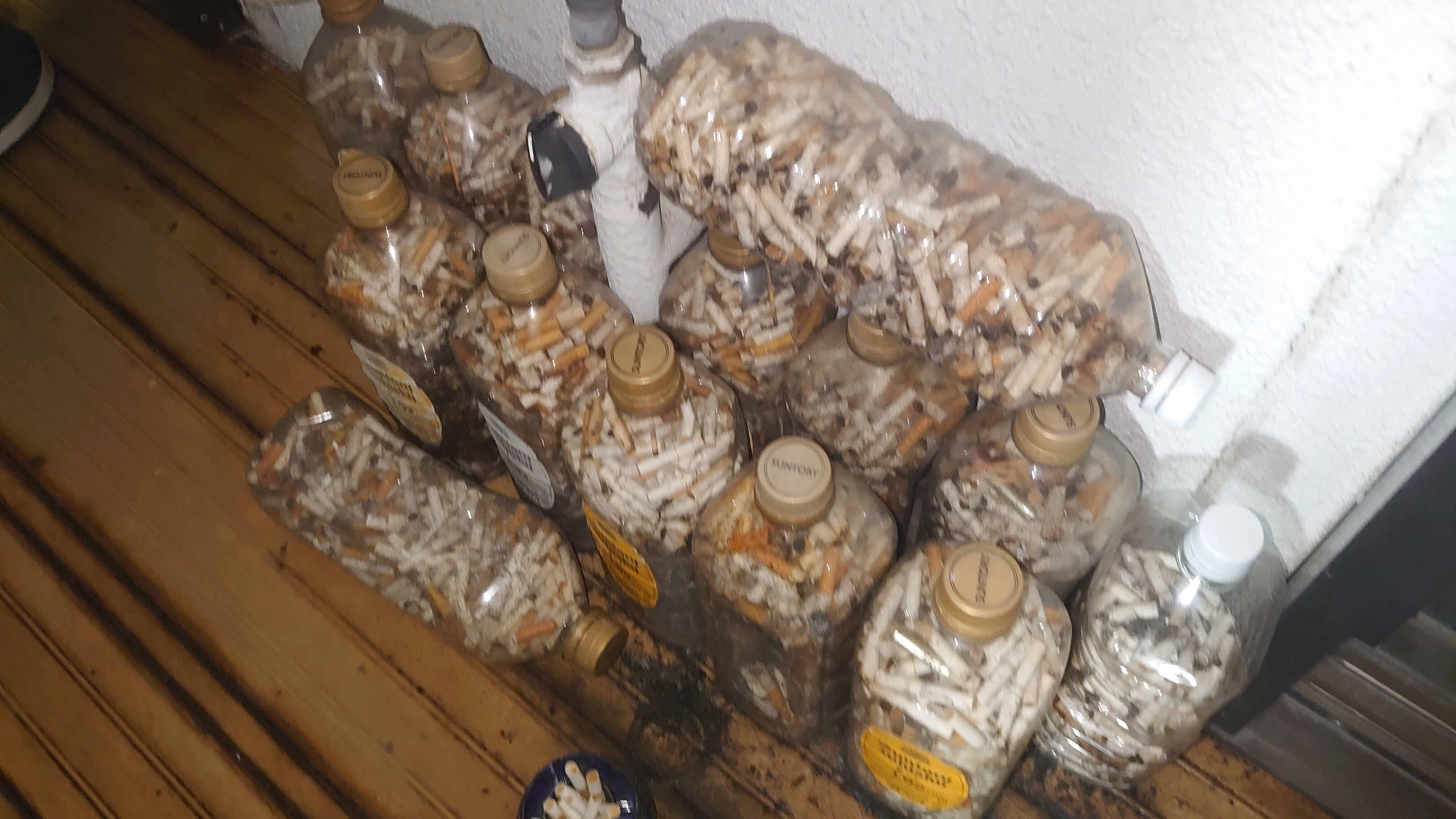 『行方不明展』の素材写真(プレスリリースより)