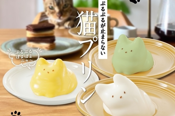 猫プリン特別号