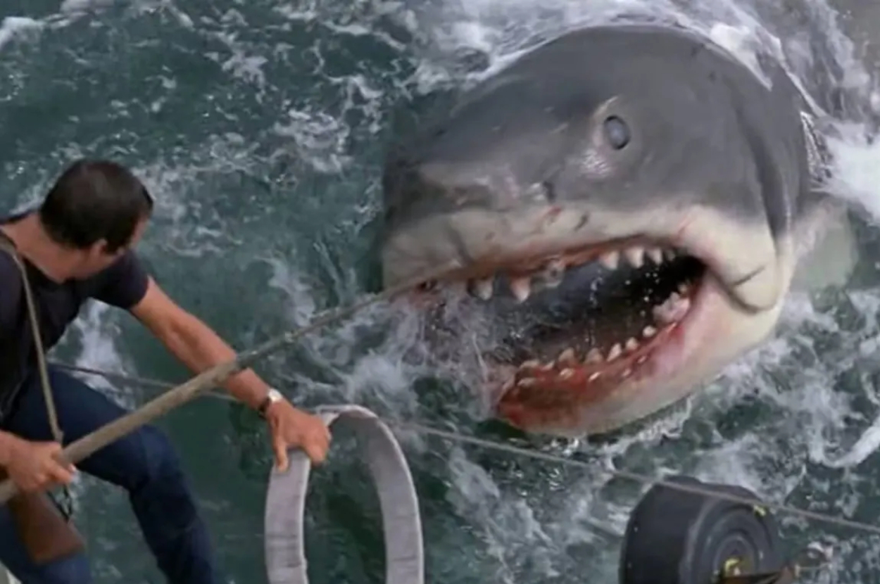A man on a boat fights a large shark with a harpoon, recreating a famous scene from the movie "Jaws."