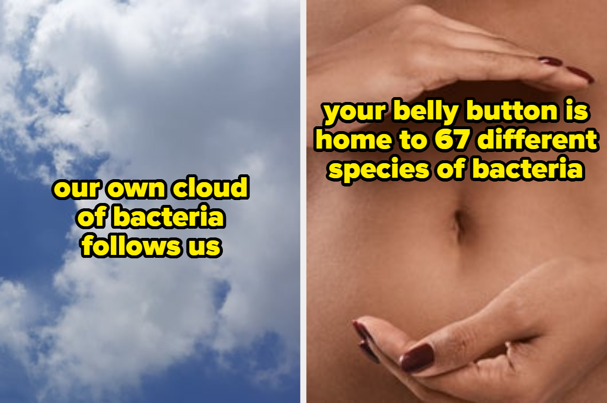 Left: Clouds in the sky with the text "our own cloud of bacteria follows us." Right: A close-up of a belly button with the text "your belly button is home to 67 different species of bacteria."
