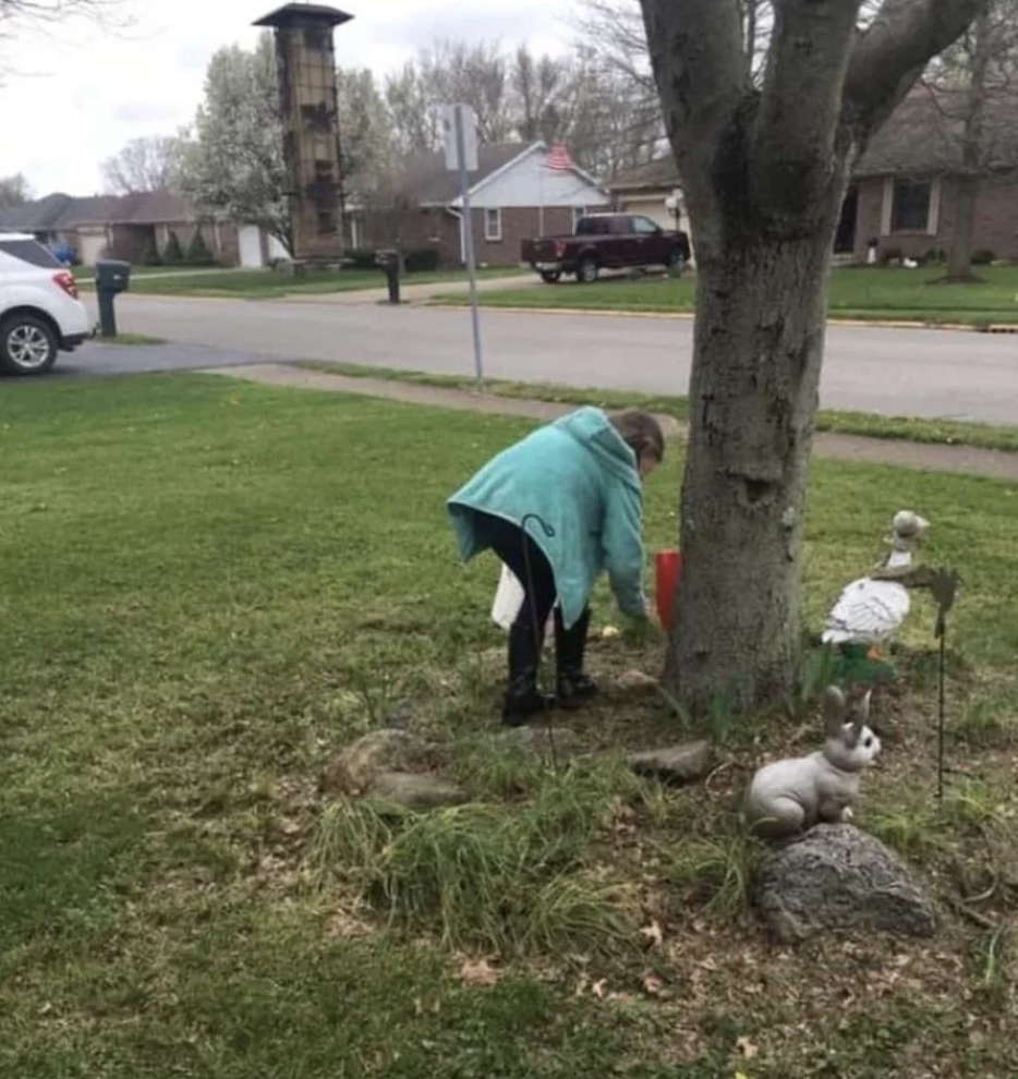 An elderly woman is tending to a garden around a tree in a suburban neighborhood. A stone rabbit and other garden decorations are visible nearby