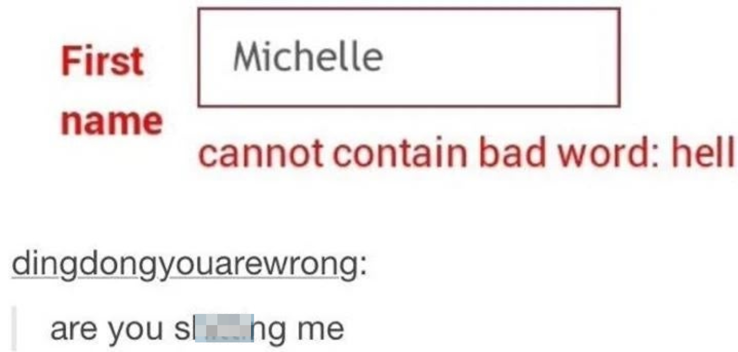 A form field for the first name "Michelle" returns an error stating "cannot contain bad word: hell." A user comments, "are you shitting me."