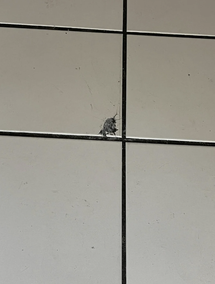 A small mouse is seen stuck in a crack between white tiles, its body squeezed into the narrow space