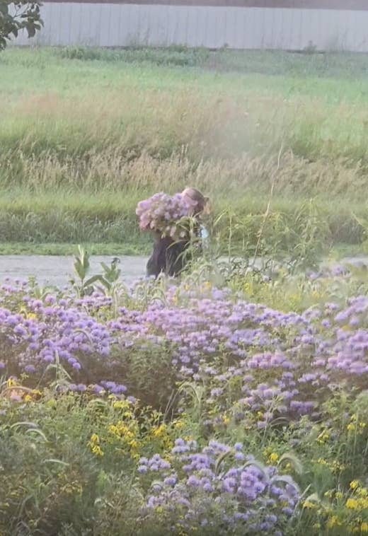 Person walking through a field of wildflowers, holding a bouquet of flowers, with more flowers in the background