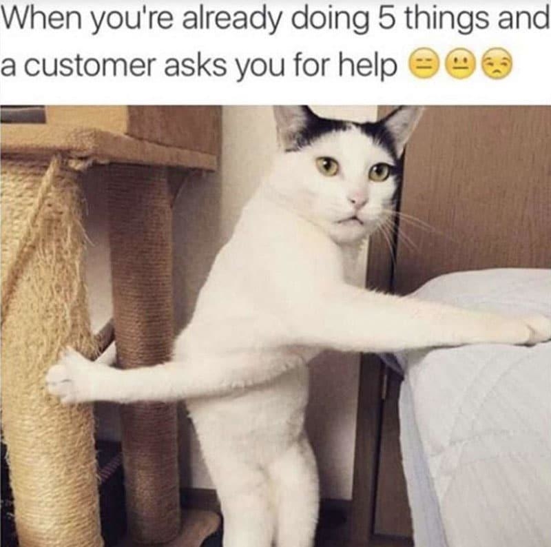 A meme of a cat standing on hind legs, holding a scratching post and looking back, captioned: "When you're already doing 5 things and a customer asks you for help ???."