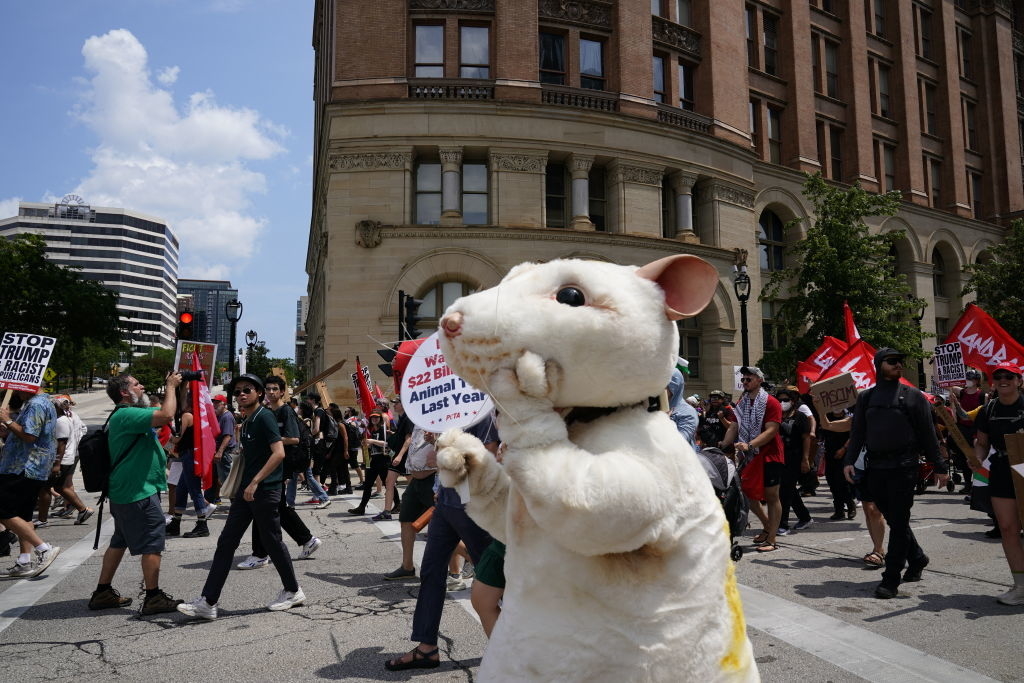 Person in a large rodent costume holds a sign reading &quot;$22 billion to save animals last year!&quot; during an urban street protest