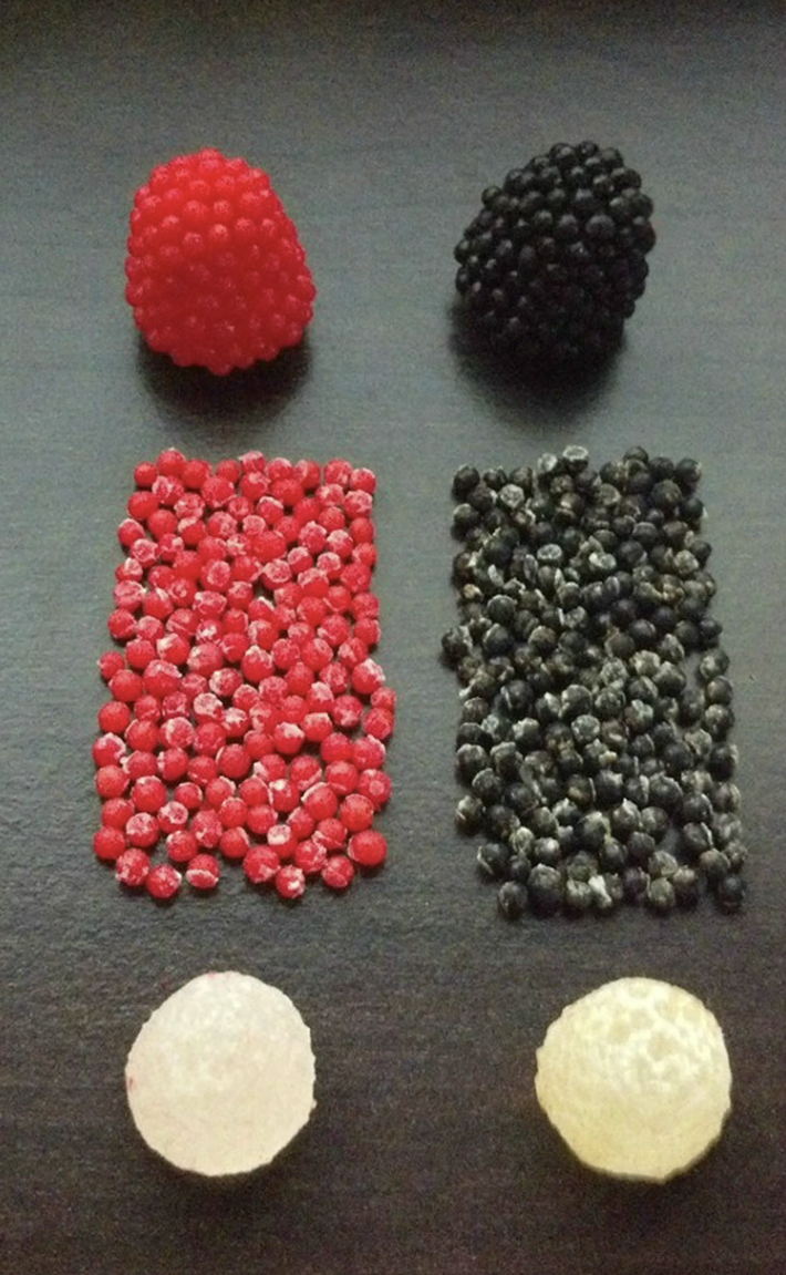 Mixed berries and corresponding candies displayed in three rows on a table, with two of each type shown: raspberry, blackberry, and white berry