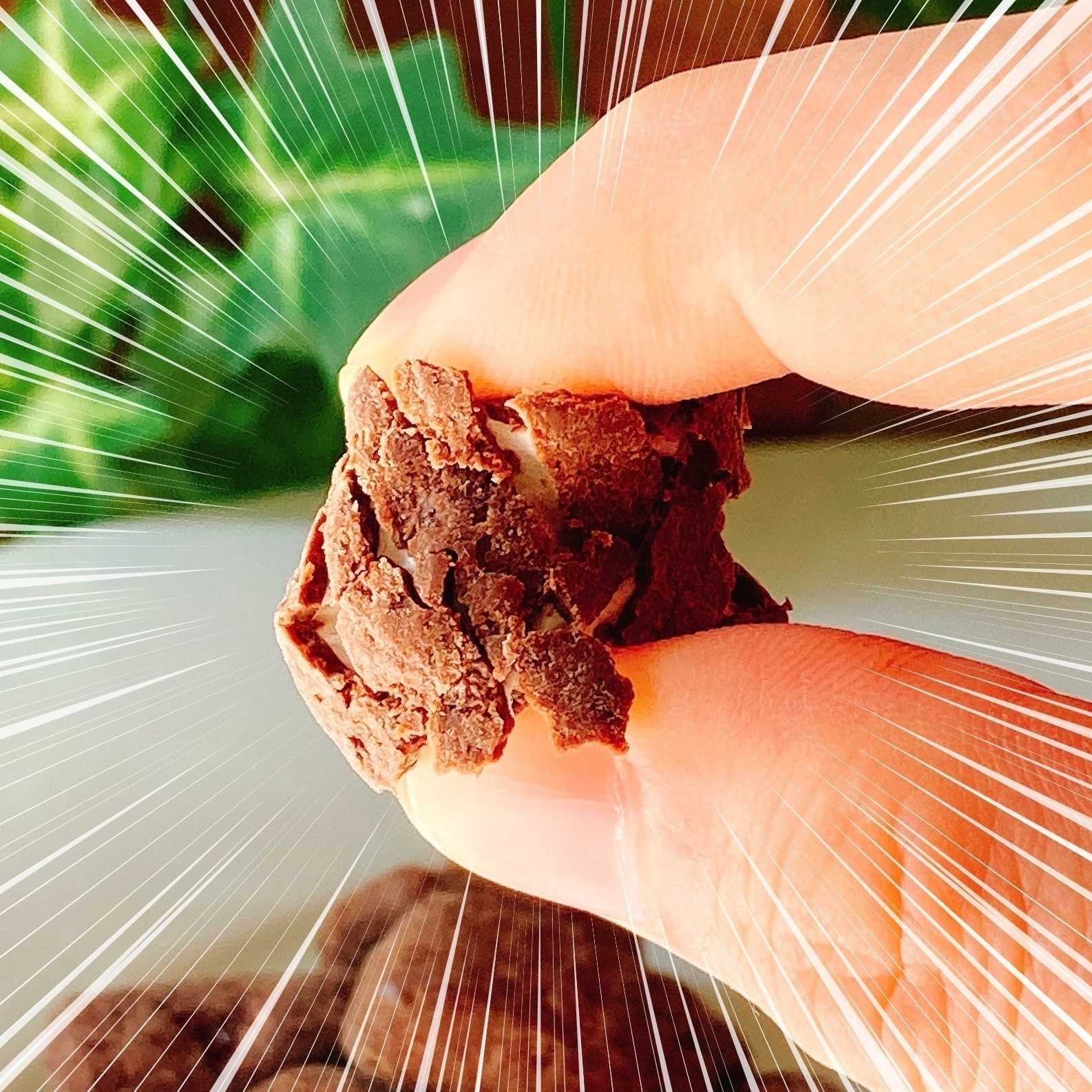 人物が写っていないチョコレートのクローズアップ写真。