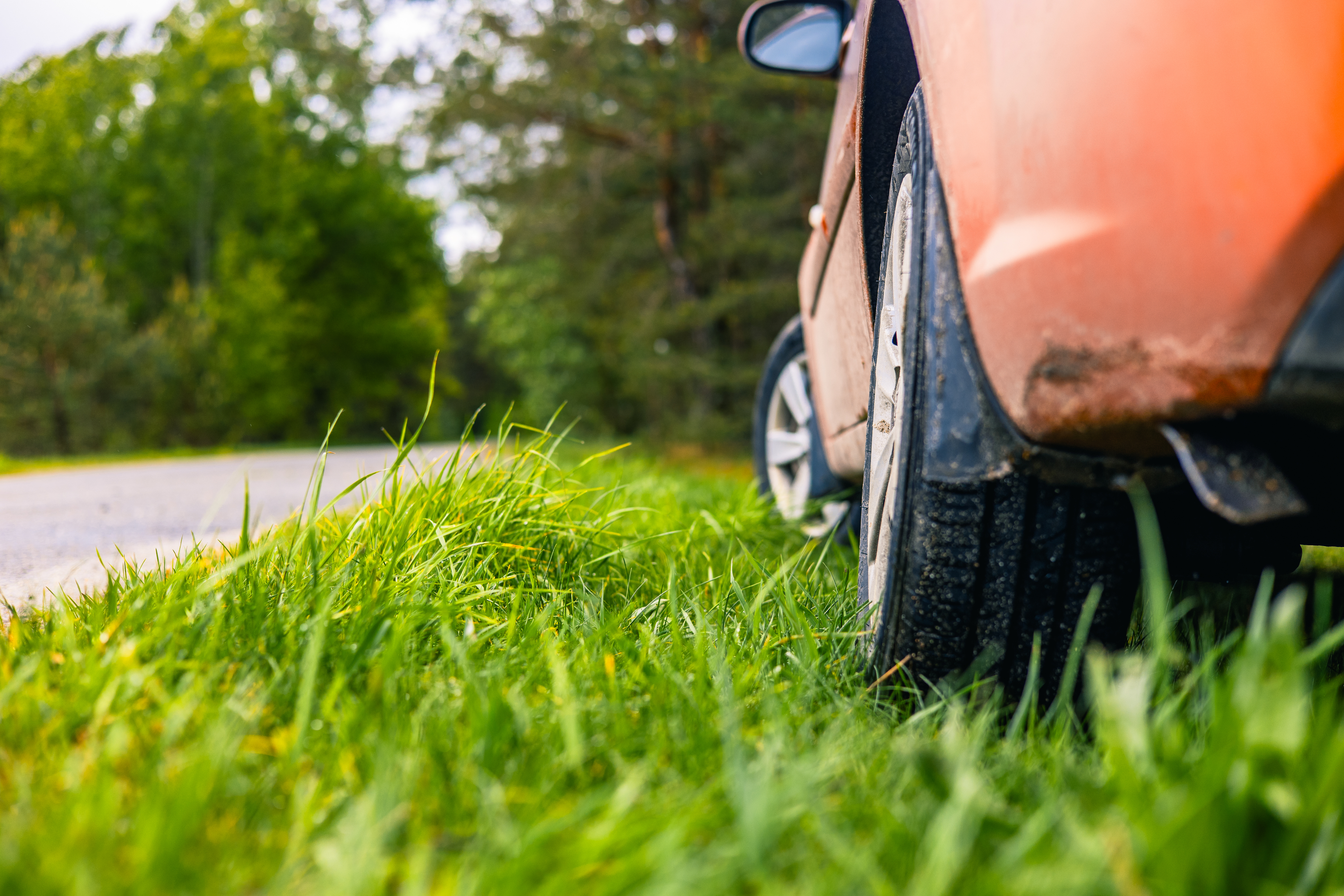 The image shows the rear wheel of a car parked on a grassy roadside in a forested area