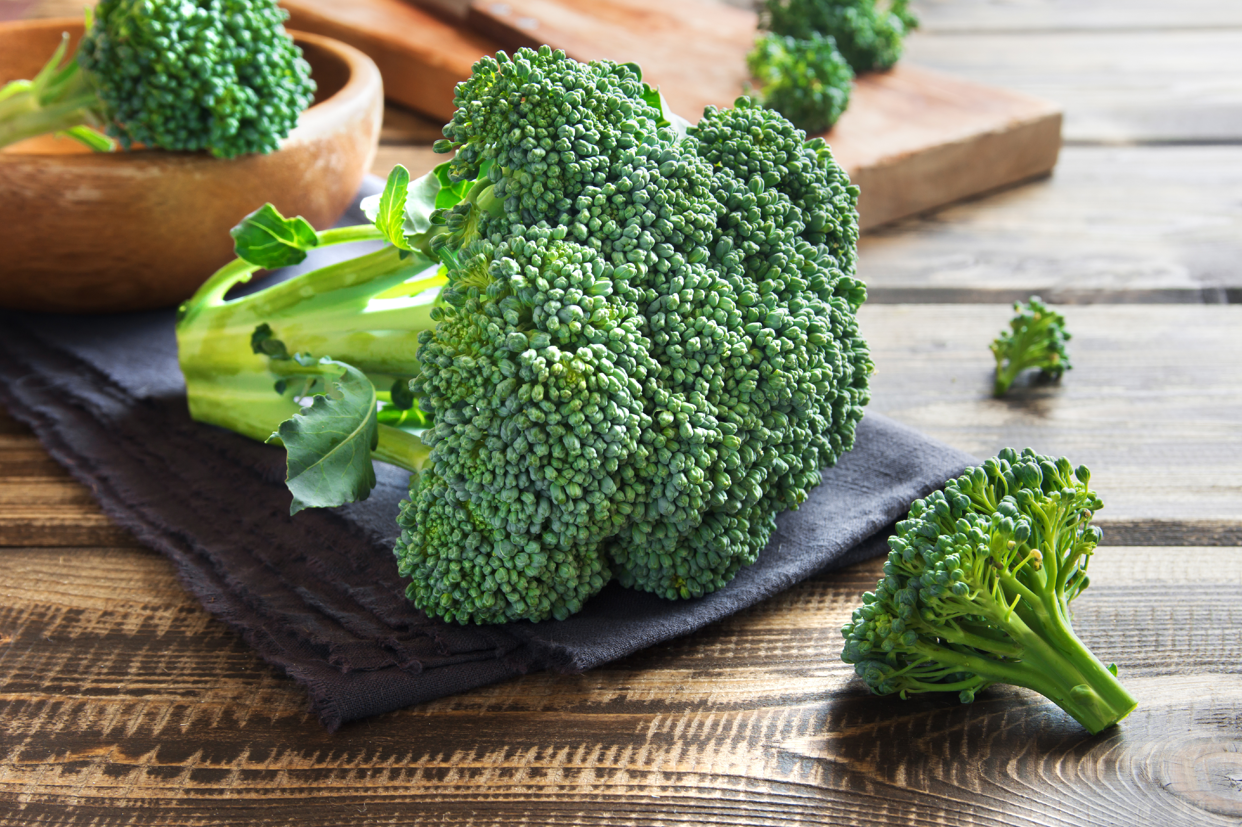 Fresh broccoli heads and florets on a wooden table with a dark cloth. A wooden bowl filled with broccoli is in the background