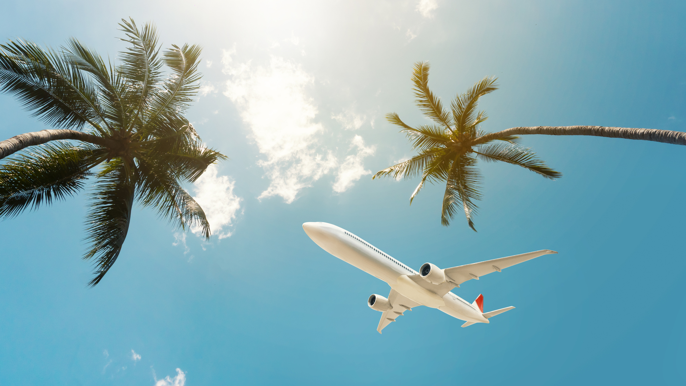 An airplane flies high in the sky past palm trees. Bright sunlight filters through the clouds. The image exudes a sense of travel and adventure