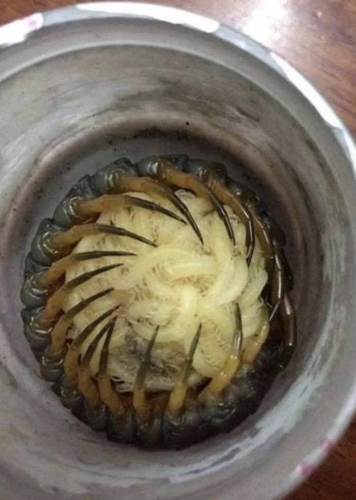Close-up of an intricate design inside a metal container, resembling a circular arrangement of delicate, feather-like structures and thin spines