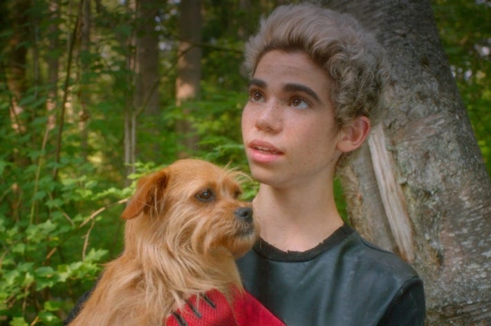 Cameron Boyce holds a small dog in a forest setting. He wears a dark shirt and has curly hair, looking slightly upwards