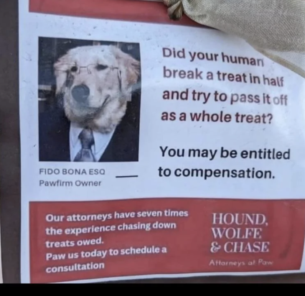 A dog named Fido Bona Esq in glasses and tie is featured on a humorous fake lawyer ad for the "Hound, Wolfe & Chase" law firm, parodying real attorney s