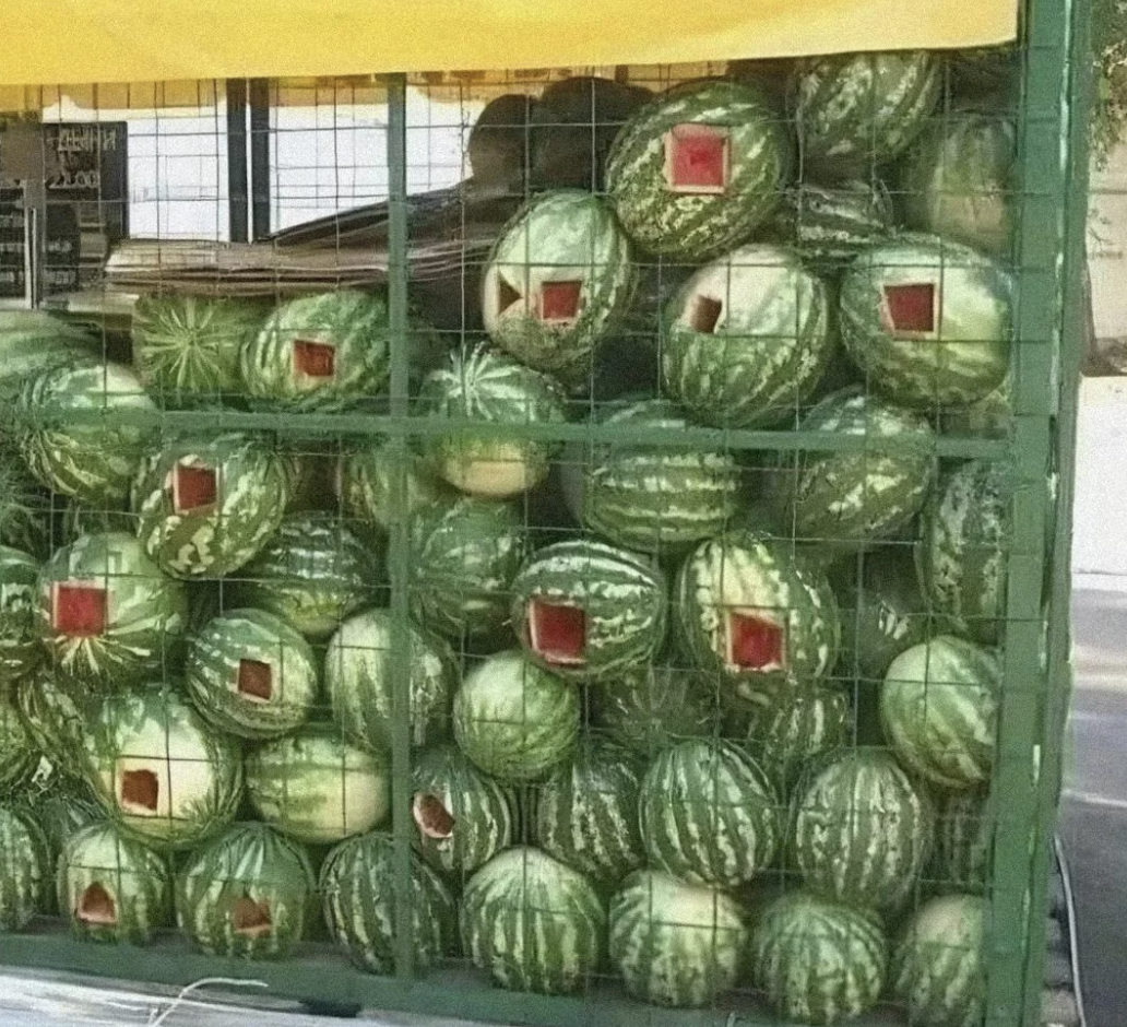 Watermelons stacked in a wire cage, several with square sections cut out displaying their red flesh. Image categorized as Internet Finds
