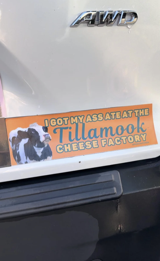 Bumper sticker on a vehicle reads: "I GOT MY ASS ATE AT THE Tillamook CHEESE FACTORY" with an image of a cow
