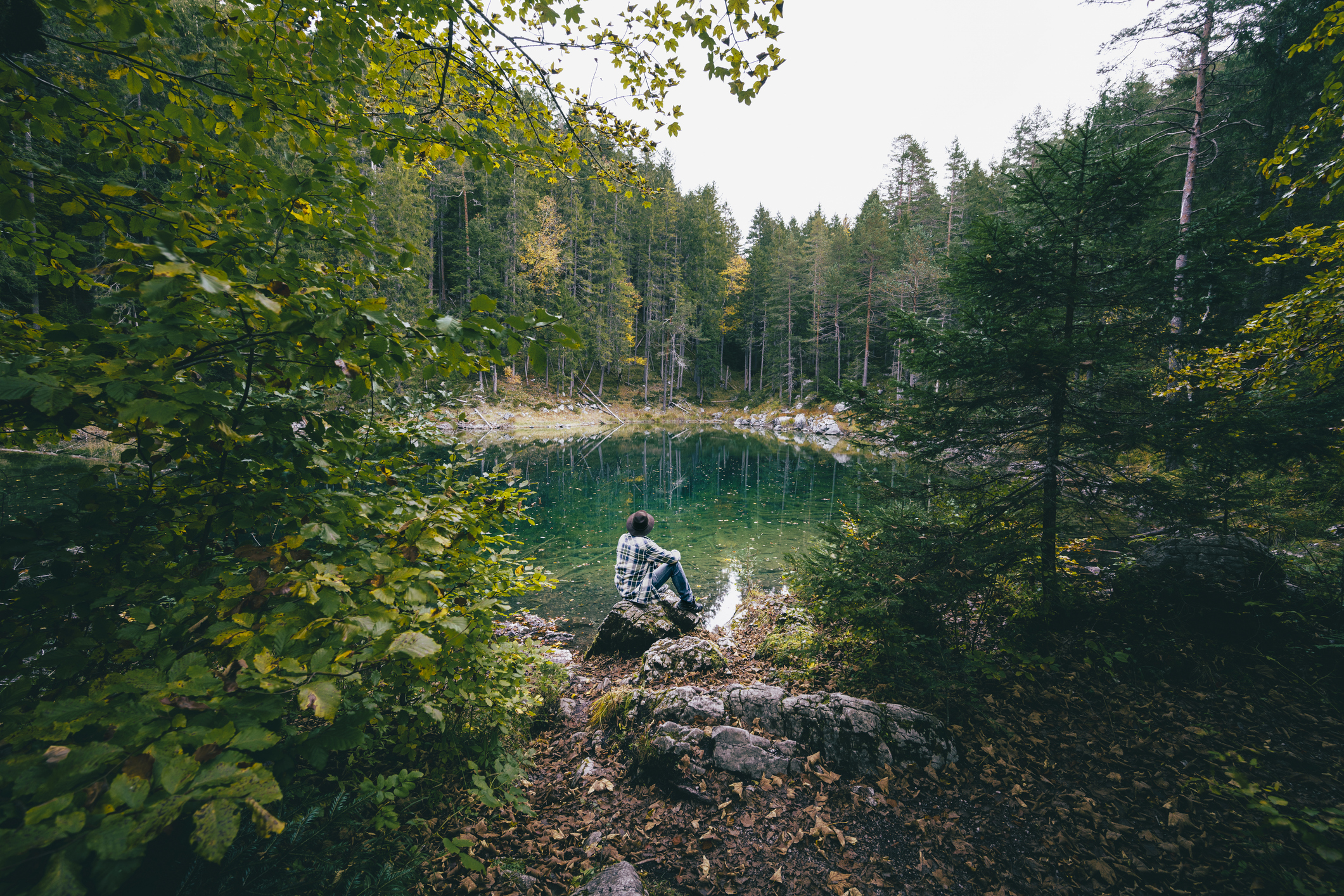 A person sits on a rock at the edge of a serene forest lake, surrounded by tall trees