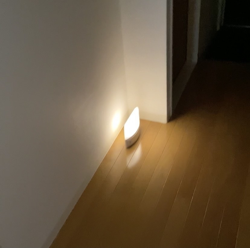 ニトリ「明暗人感付センサーライト もてなしのあかり」