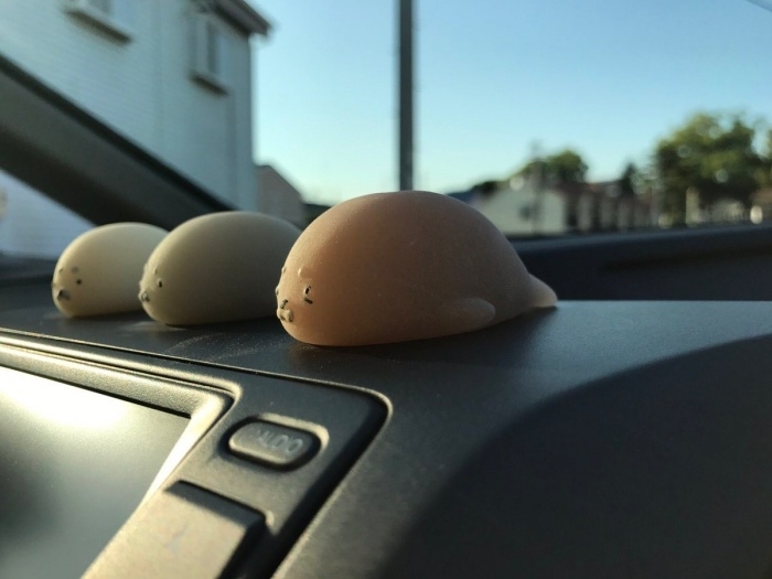車のダッシュボードに並んだアザラシの置物