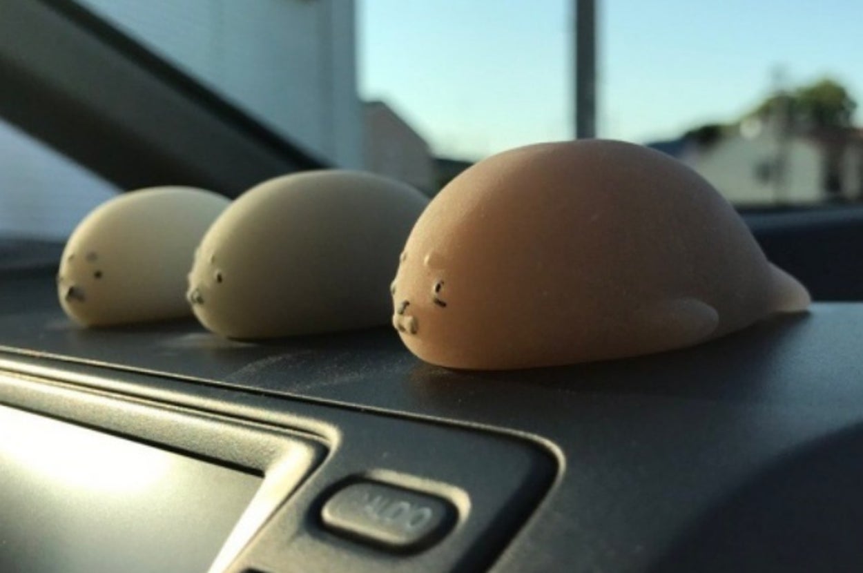 思わず二度見！ 車のダッシュボードにアザラシの置物を飾った結果→翌日、見るも無惨な姿に。「めっちゃ溶けてる」「耐震マットみたい」と驚愕する声殺到