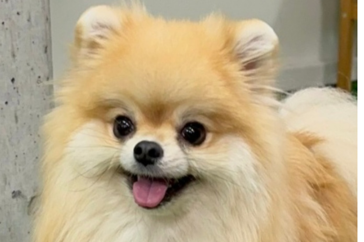 にこにこ笑みを浮かべるレオくん