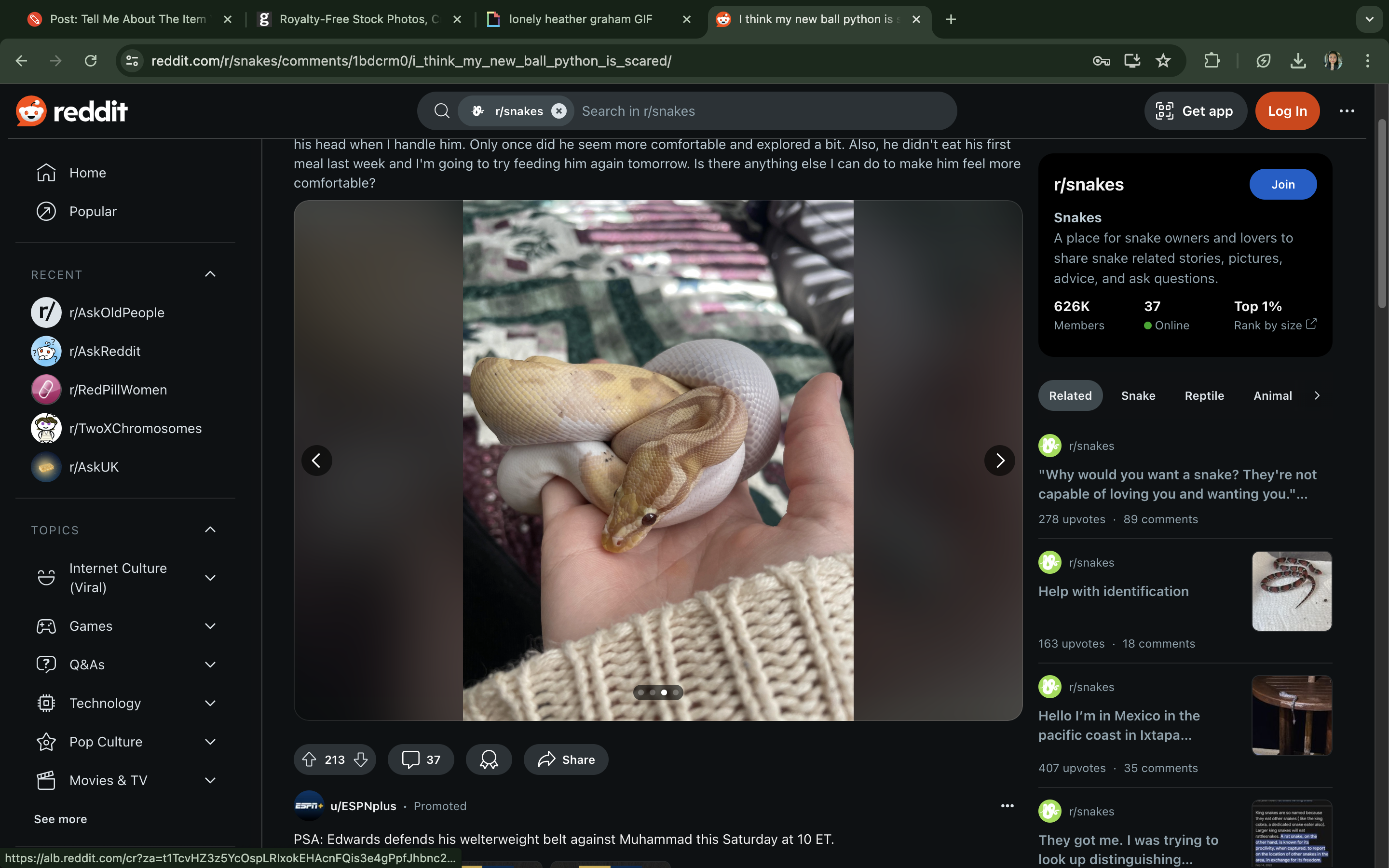 A ball python is curled up in a person's hand. The Reddit post is asking for advice about the python not eating