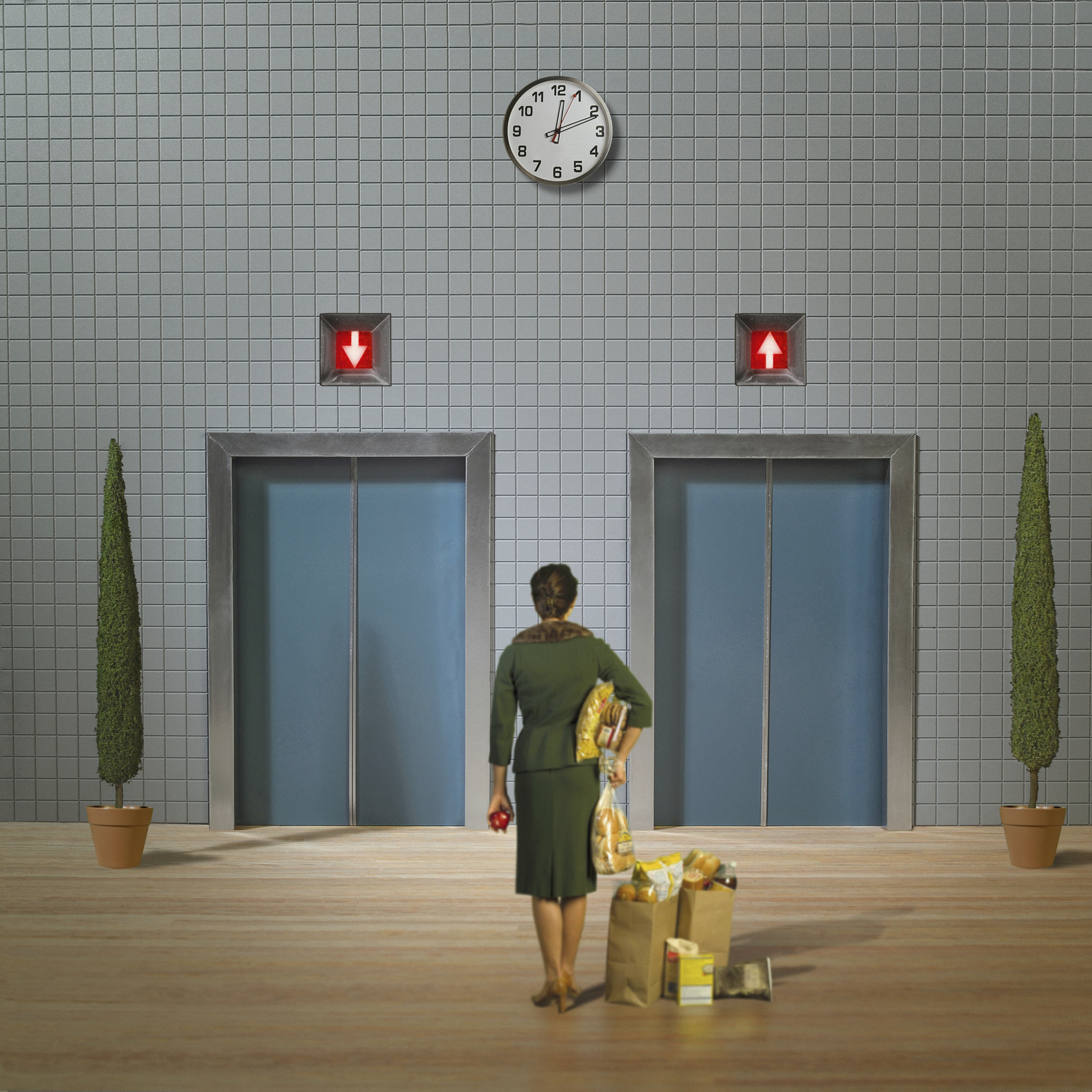 Person stands between two elevators holding groceries. The clock above shows 12:00. Two potted plants are on either side of the elevators