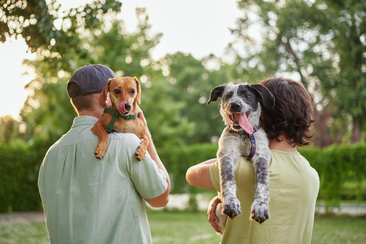 Two people seen from behind carrying dogs over their shoulders. One holds a brown dog, the other a black and white dog