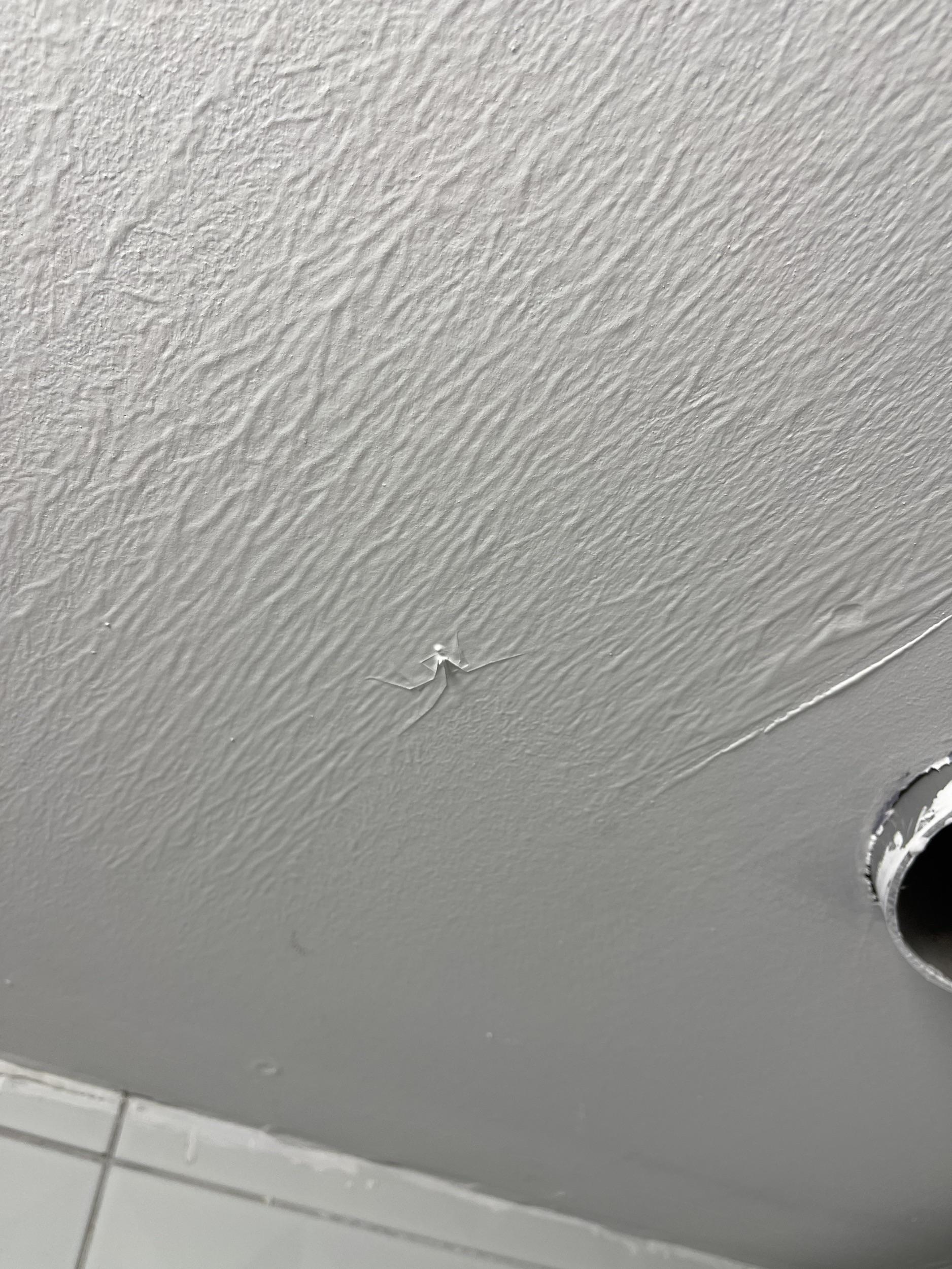 Small spider on a textured ceiling, near a circular hole, part of the humor in Internet Finds