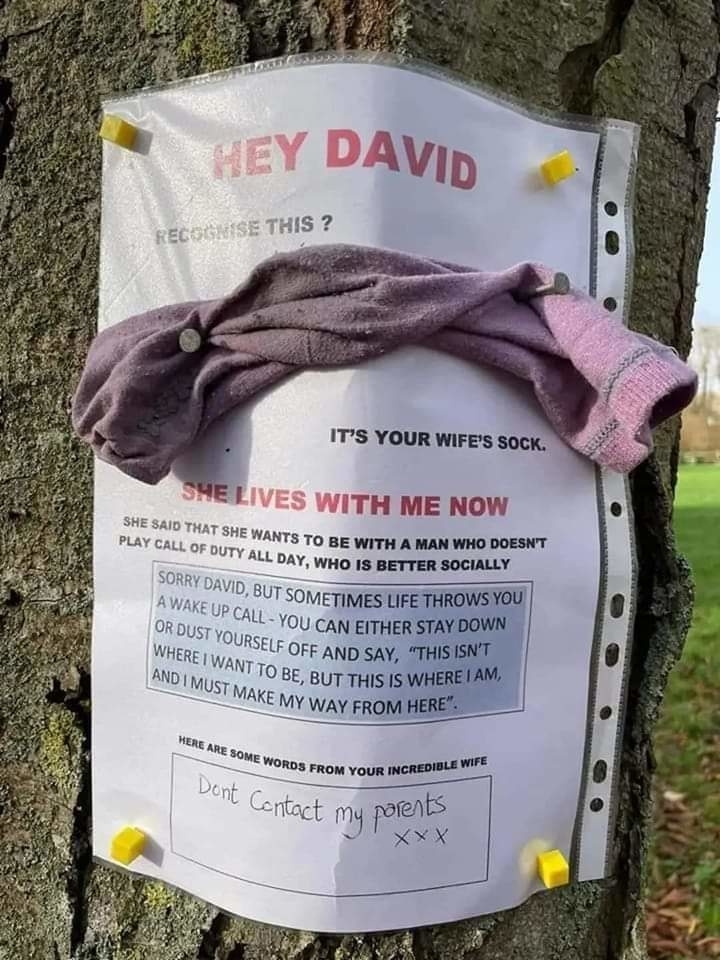 A flyer pinned to a tree addresses "David" about a missing sock, implies infidelity with humorous messages, and includes a handwritten note saying, "Don't Contact my parents."