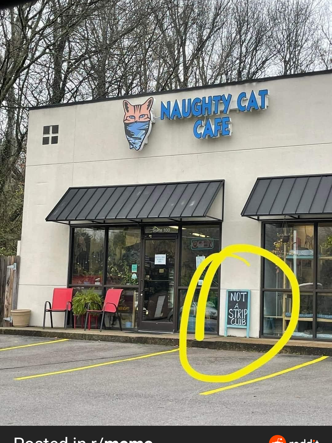 Naughty Cat Cafe sign includes a smaller sign reading &quot;NOT a Strip Club&quot; by the door. Image posted in r/meme on Reddit