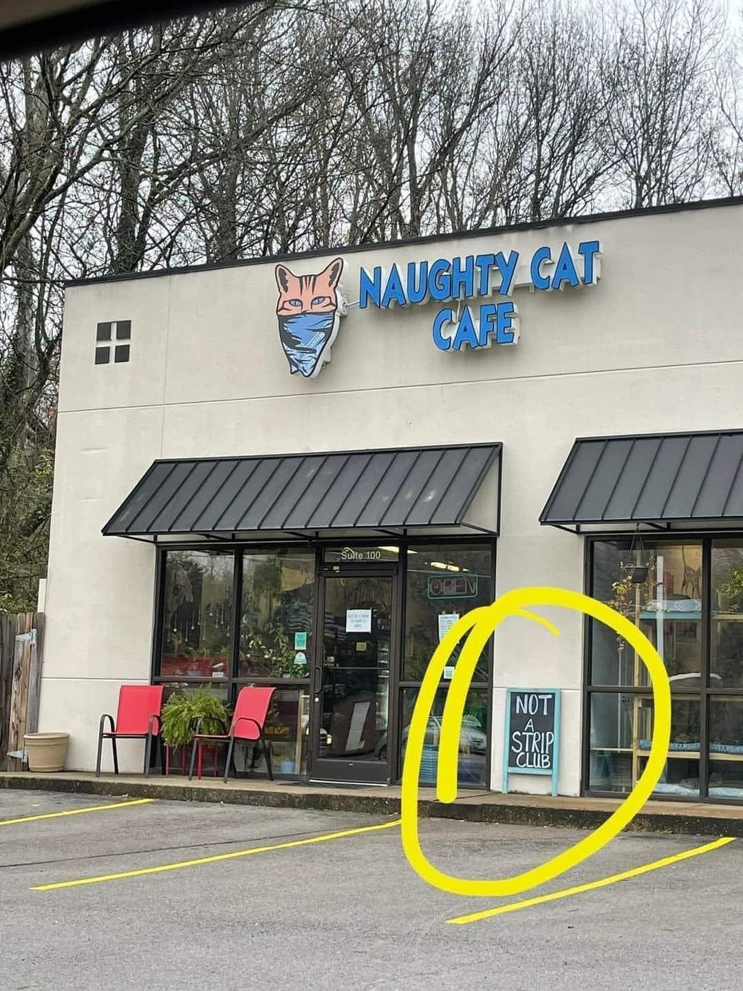 Naughty Cat Cafe sign includes a smaller sign reading "NOT a Strip Club" by the door. Image posted in r/meme on Reddit