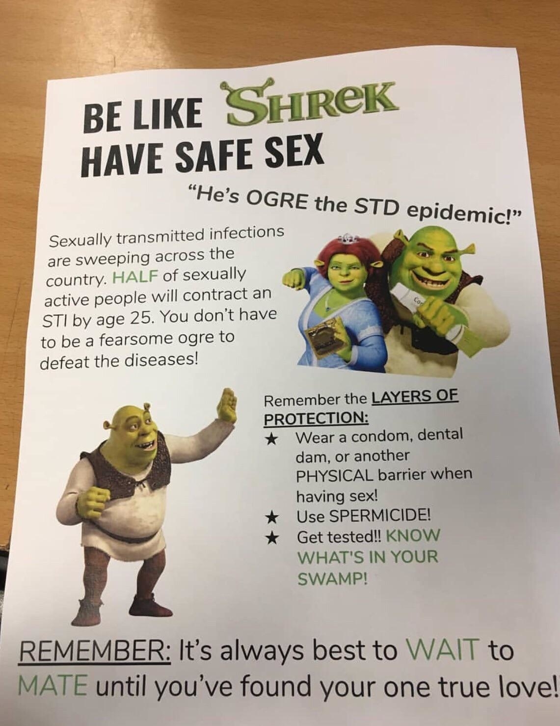 Be like Shrek, have safe sex. Practice safe sex by using protection to prevent STIs. Remember to wait for true love before mating