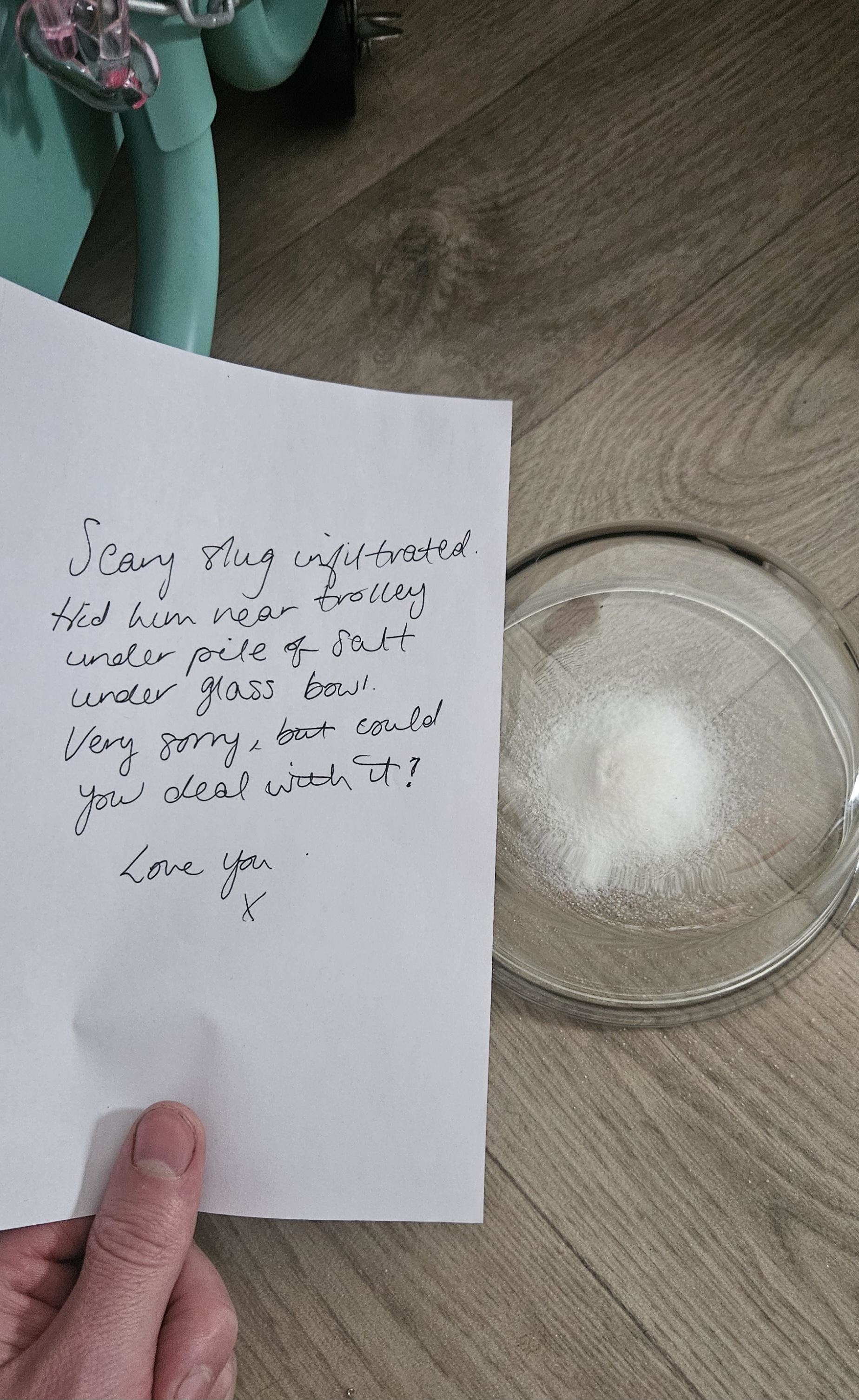 A handwritten note reads: "Scary slug infiltrated. Hid him in a trolley under pile of salt under glass bowl. Very sorry, but could you deal with it? Love you x." There's a glass bowl with salt on the floor