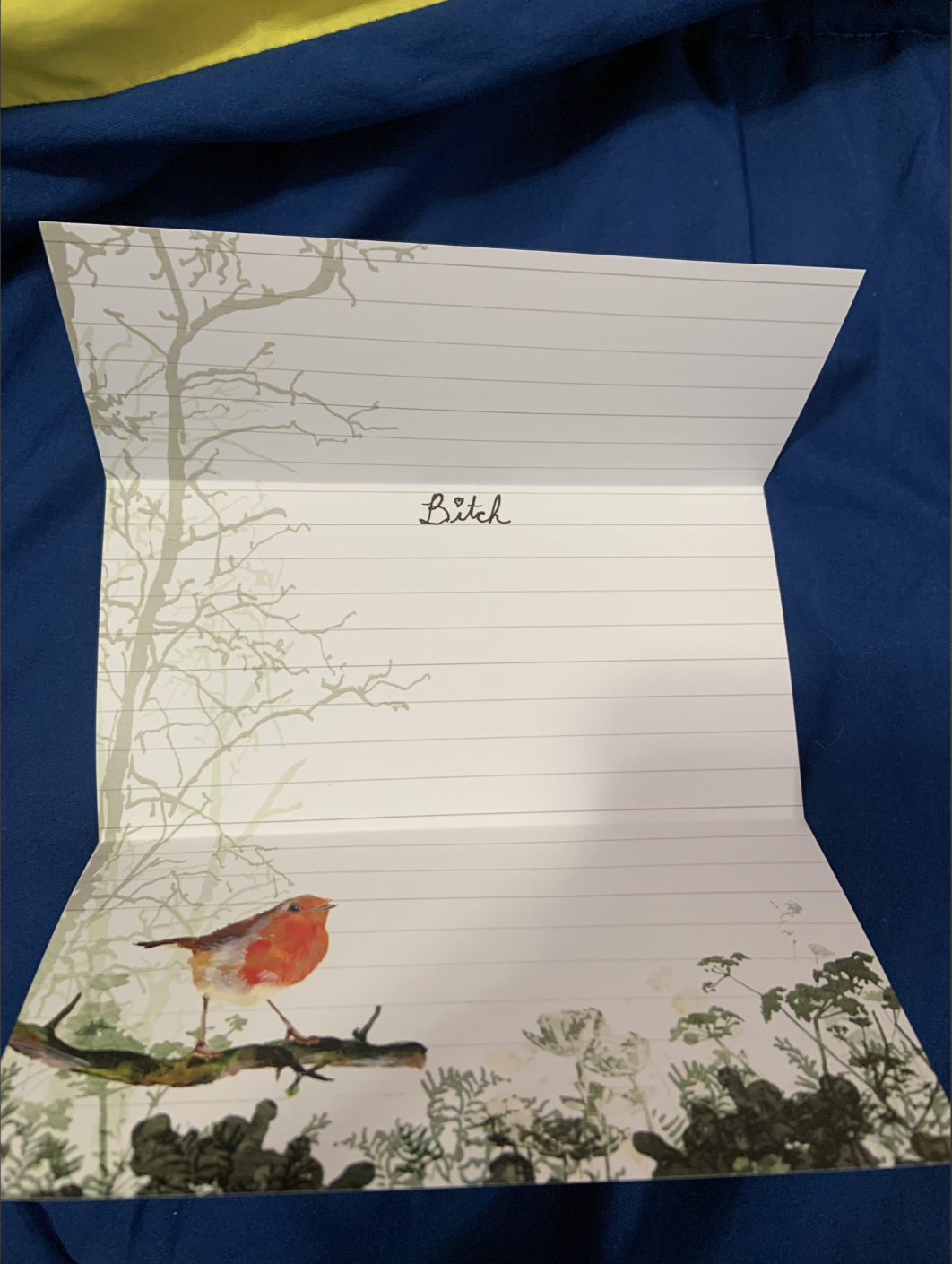 A greeting card is open, revealing the single word "Bitch" written in the center. The card features a bird perched on a branch with light foliage in the background