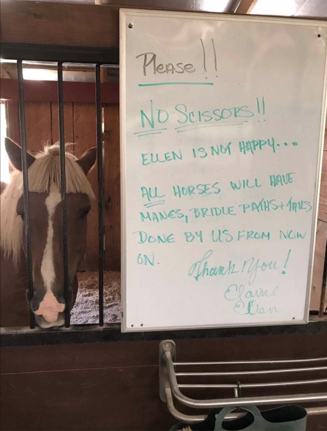 A whiteboard outside a horse stall reads: "Please!! NO Scissors!! Ellen is not happy… All horses will have manes, bridle paths & tails done by us from now on. Thank you! Elaine & Ellen." A horse is visible in the stall