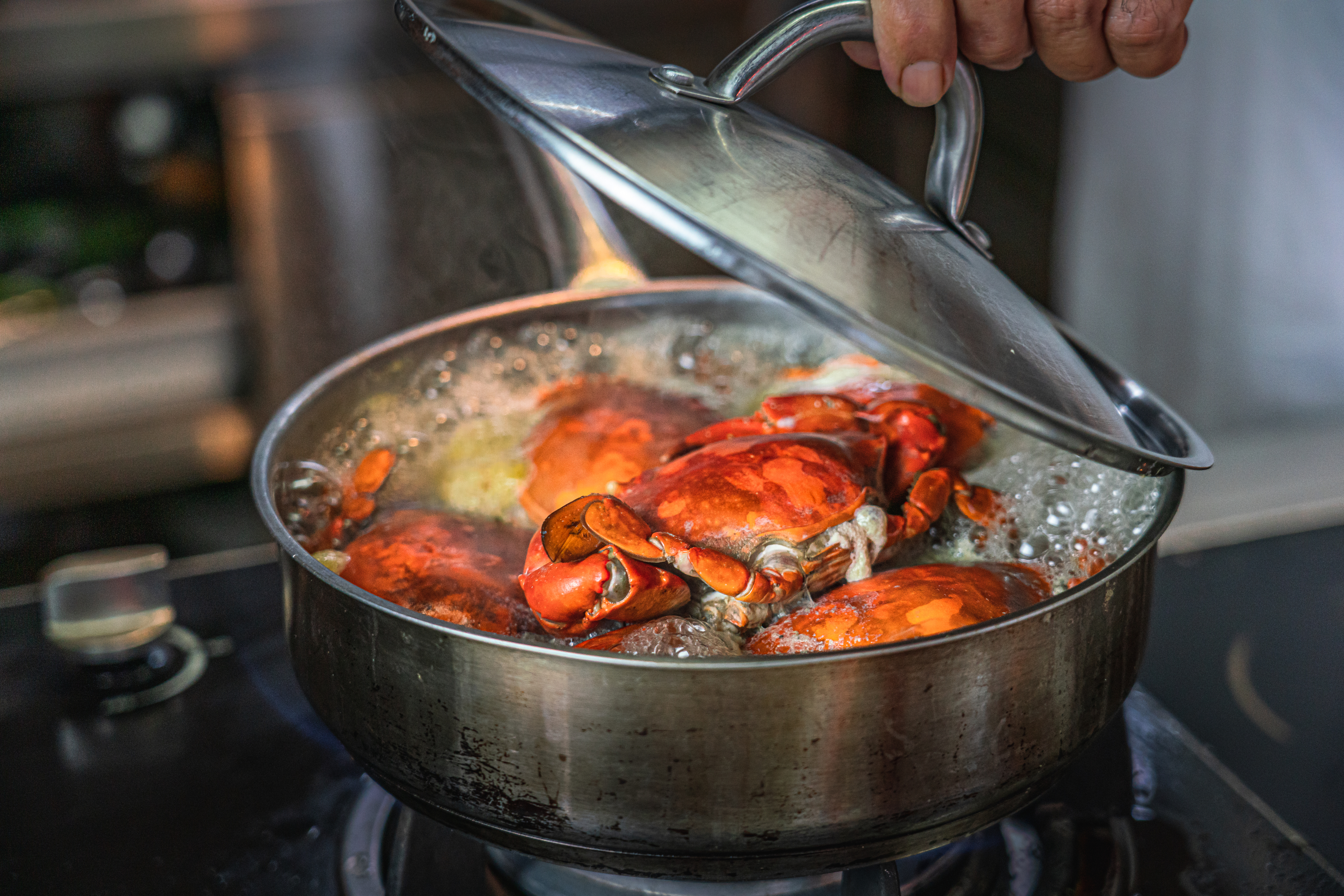 A hand lifts the lid of a pot to reveal crabs being boiled in water