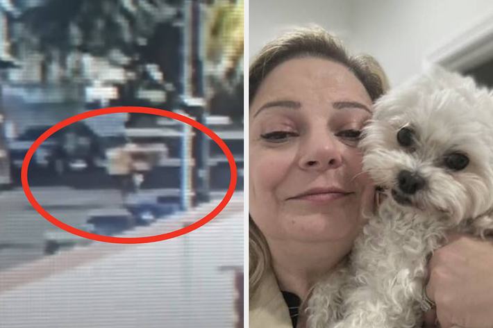 左側には映像の一部で赤い円で囲まれた人物。右側には犬を抱える笑顔の女性。