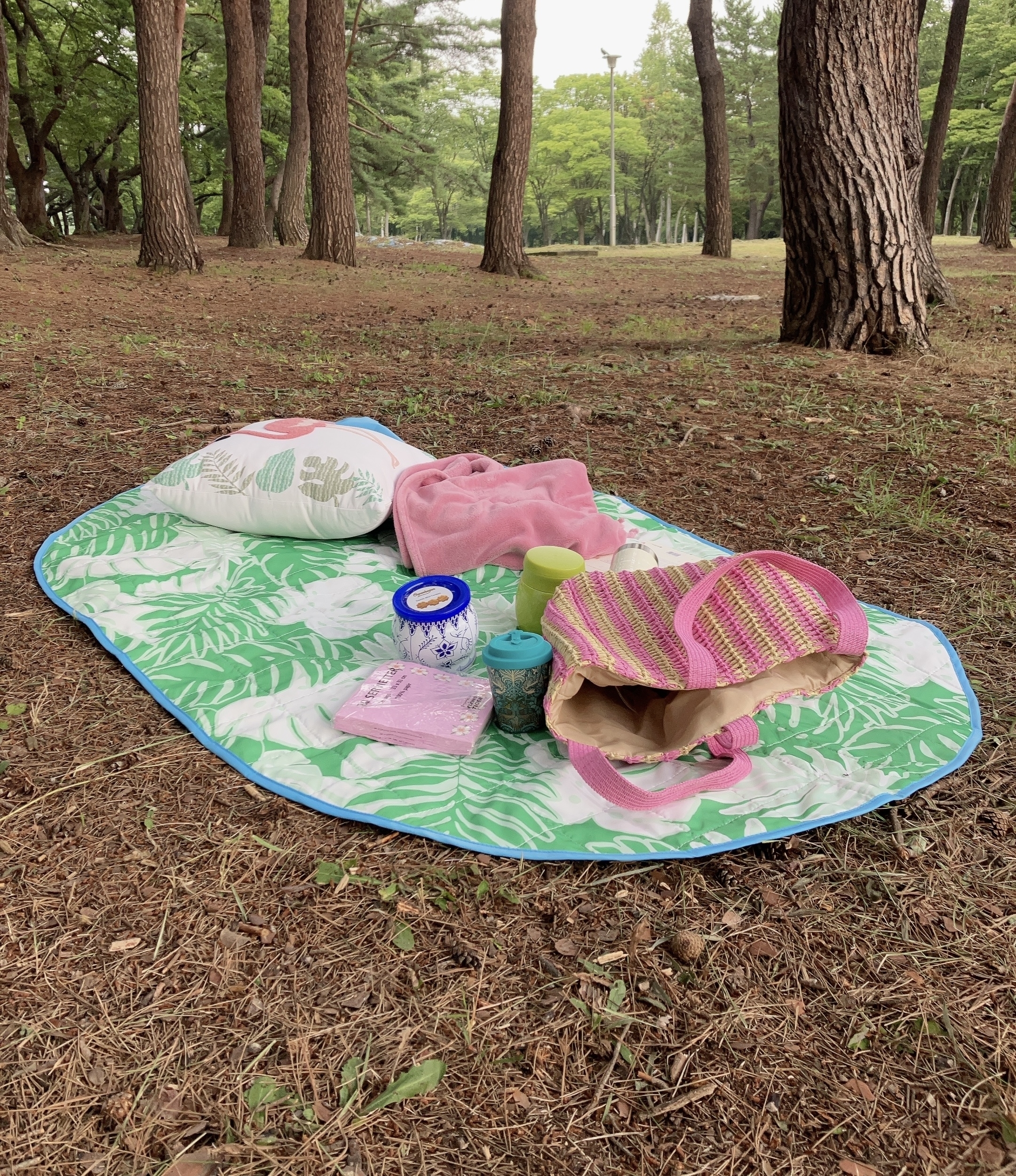 IKEA（イケア）のアウトドアで活躍するアイテム「STRANDÖN ストランドン レジャーシート」