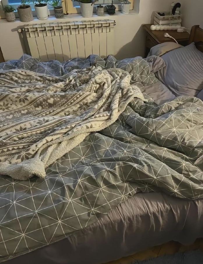 A cozy, unmade bed with patterned blankets and pillows, showing signs that someone recently slept there. Several plants are visible on the windowsill above