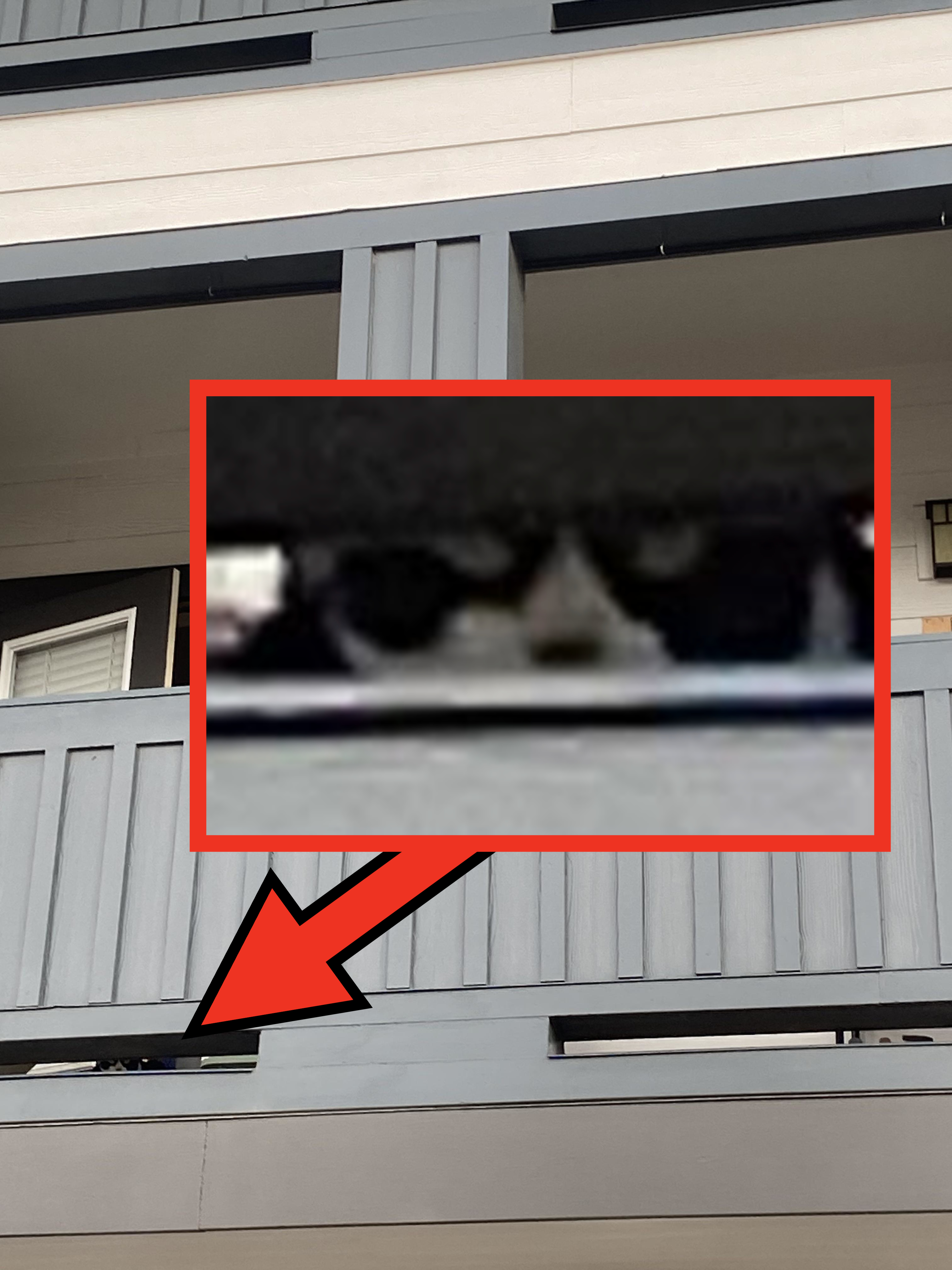 A cat sits on the railing of a balcony on an apartment building