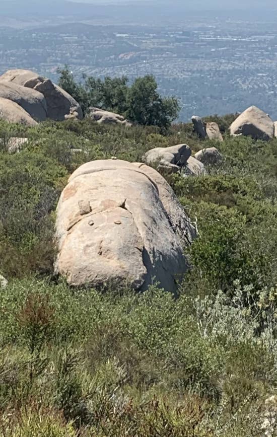 Large rock formation resembling a reclining bear amidst natural shrubbery with a distant cityscape in the background