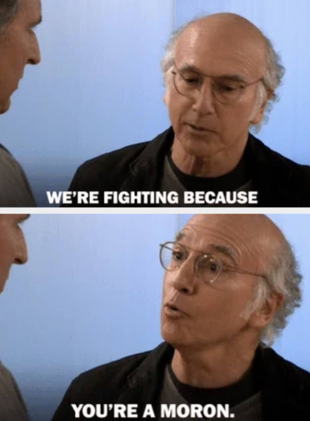 Image of Larry David looking frustrated with text: "WE'RE FIGHTING BECAUSE YOU'RE A MORON"