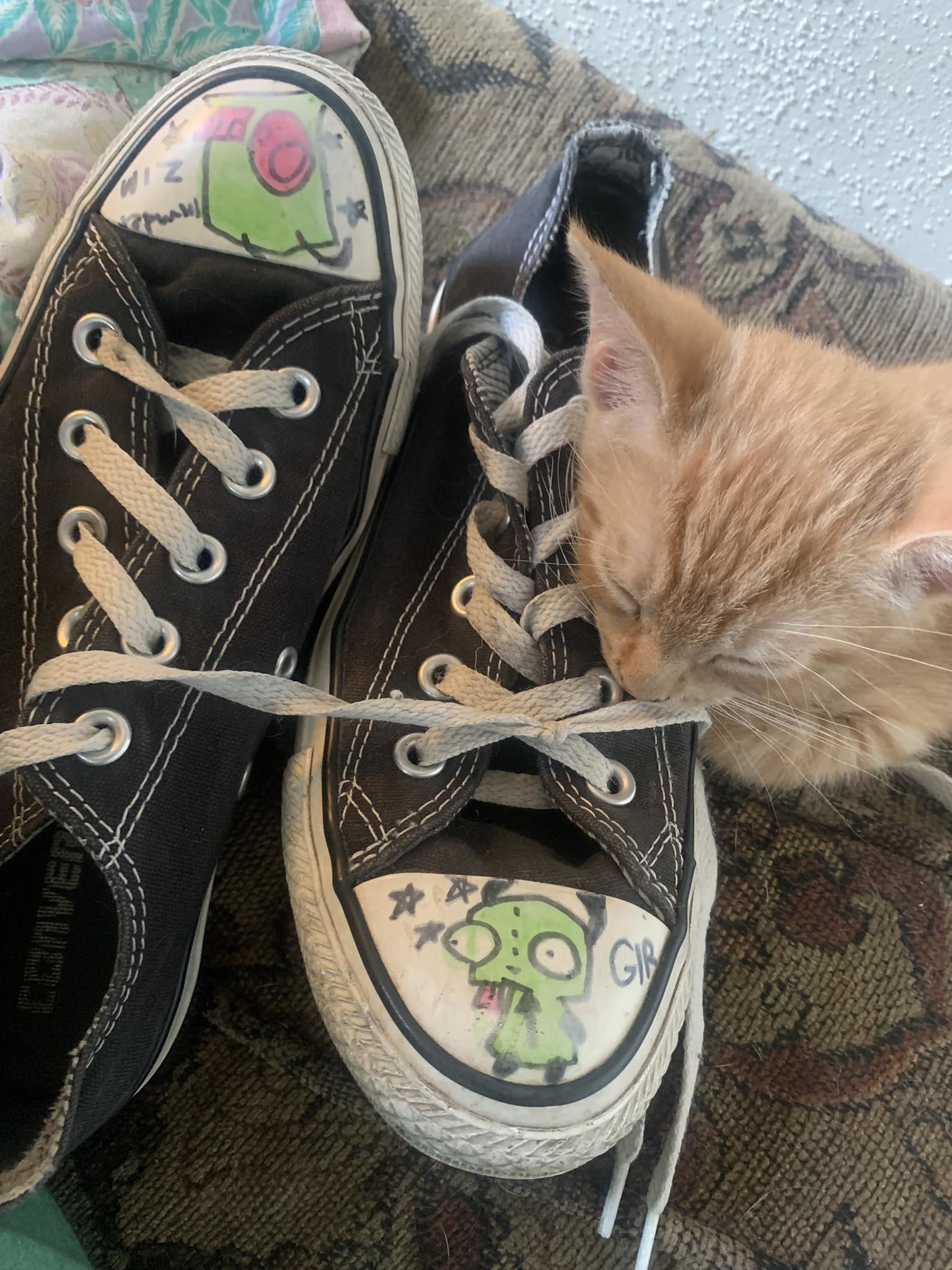 Orange kitten resting by a pair of black Converse sneakers decorated with cartoonish alien drawings on the toes