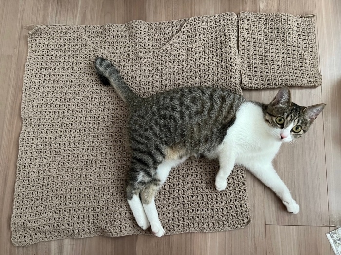 編み物の上で寝そべるリンちゃん